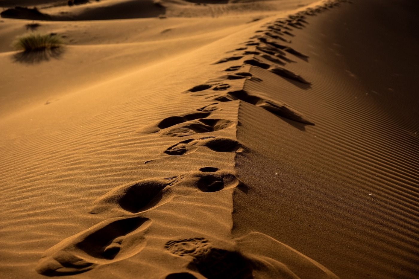 Deserto e a vontade e Deus