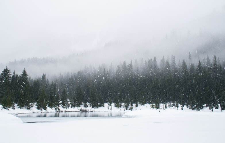 Depressão: O inverno também passa